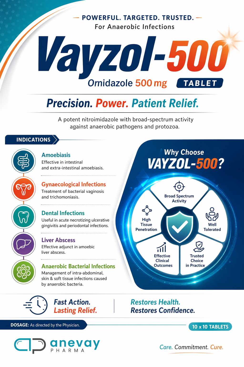 Vayzol-500